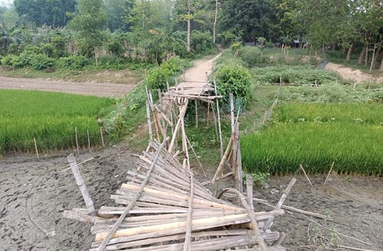 image-here